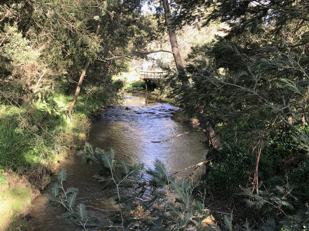 Victory Park-特拉拉尔根必去景点