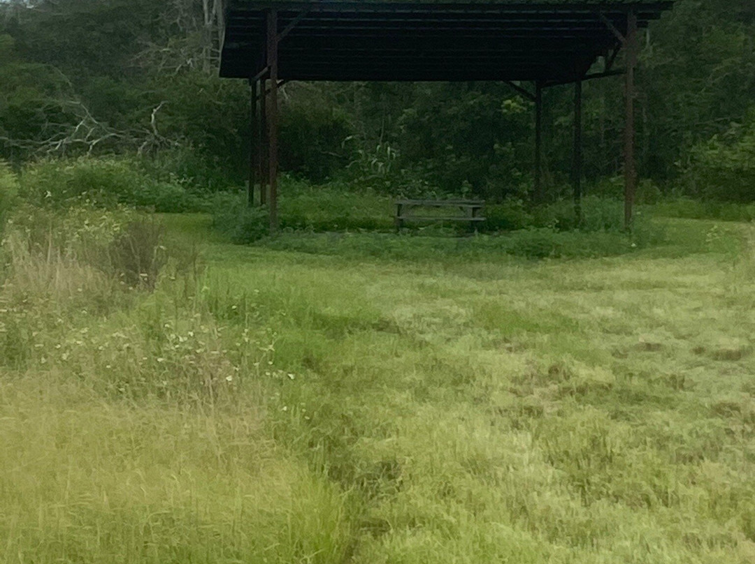 Clay Island Trailhead景点图片