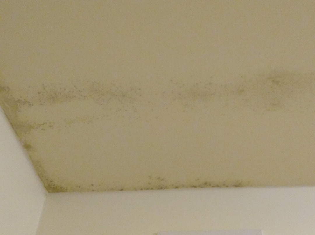 Homewood Suites by Hilton Birmingham-SW-Riverchase-Galleria主图