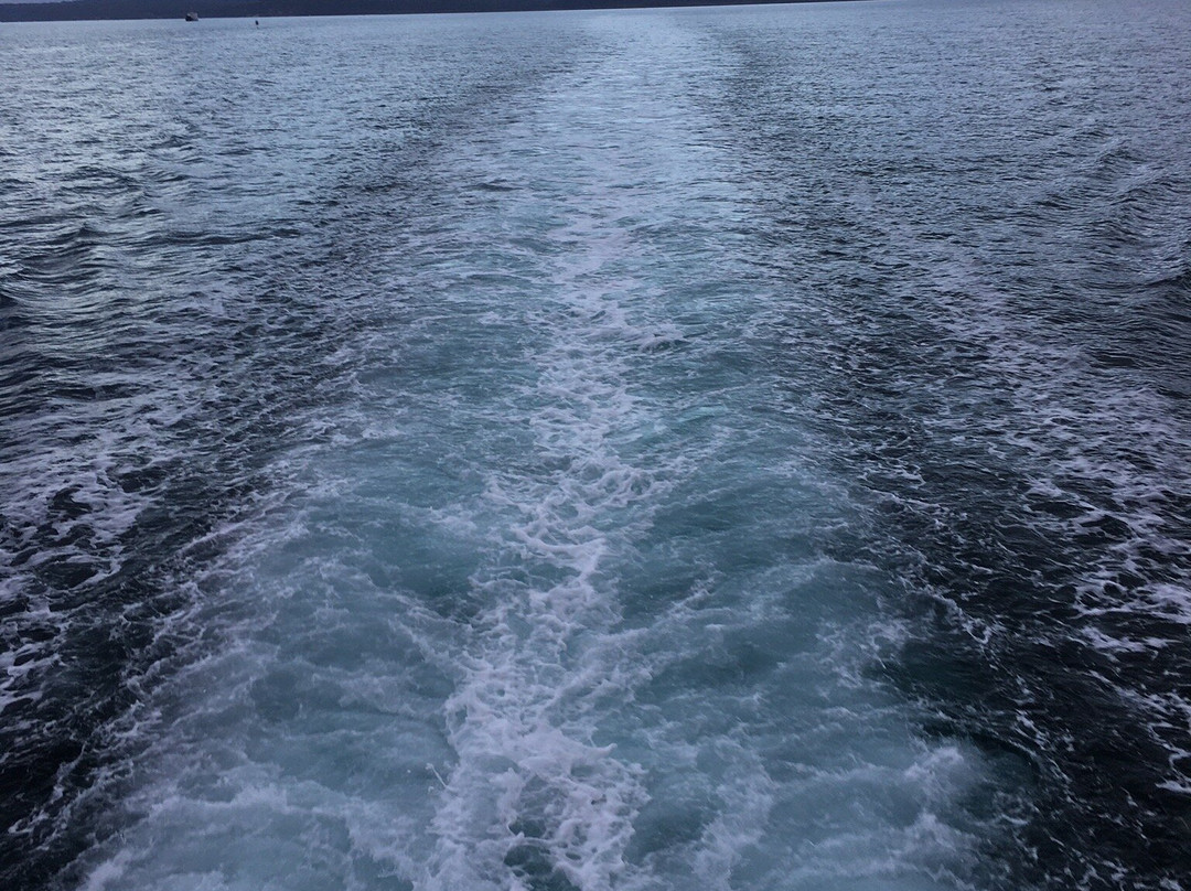 Fraser Discovery Tours-赫维湾必去景点