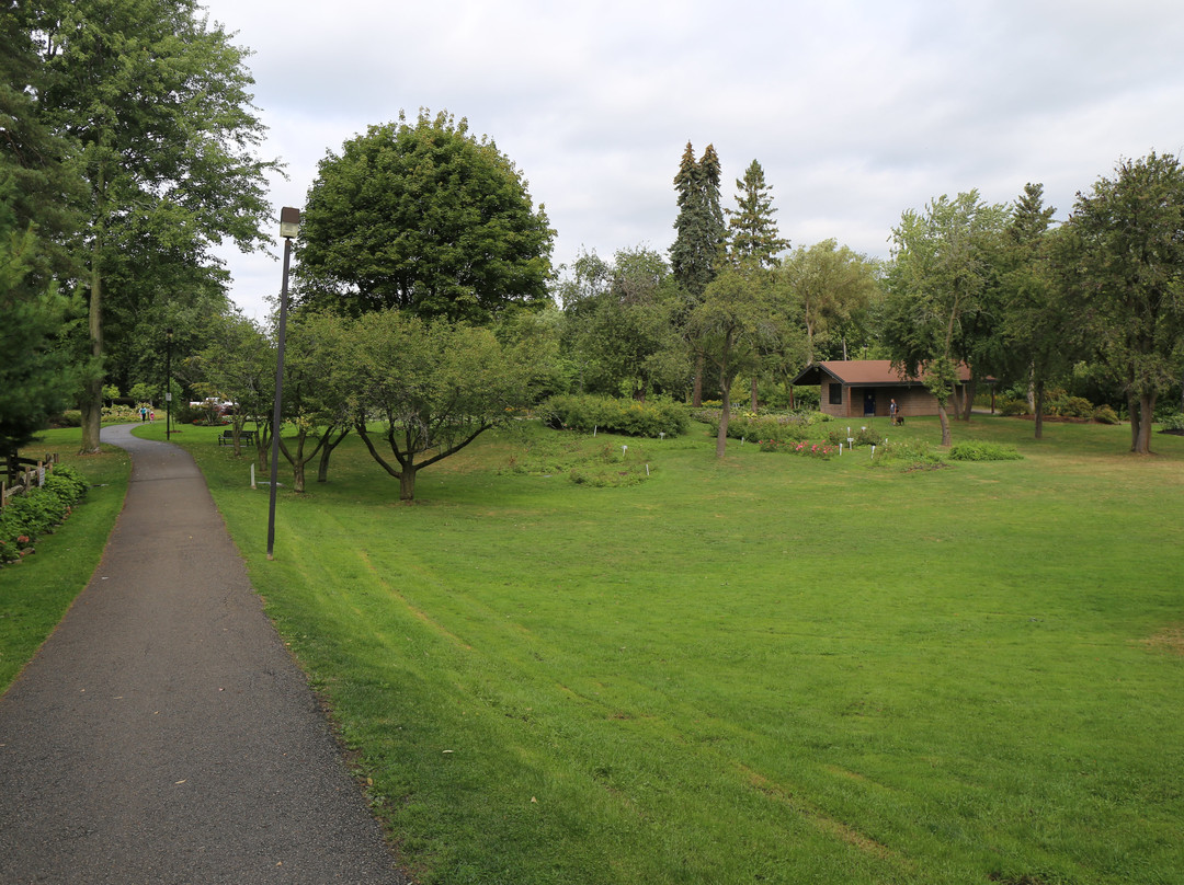 Brueckner Rhododendron Gardens-米西索加必去景点