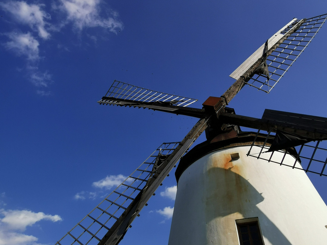 Windmühle Podersdorf am See景点图片