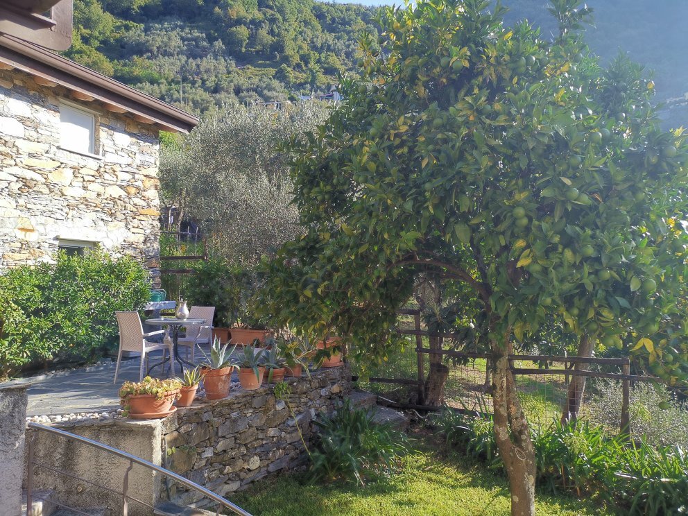 Villa Paggi country house-官方