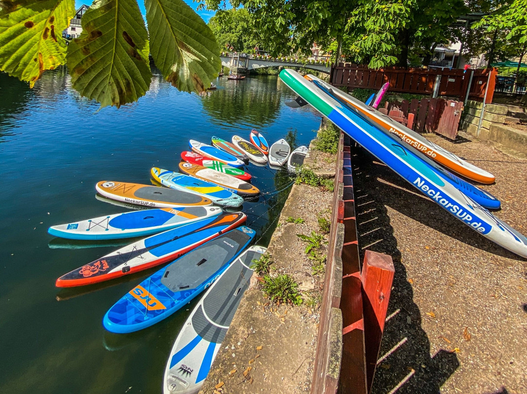 NeckarSUP | Stand up Paddling Verleih-Station Tübingen景点图片