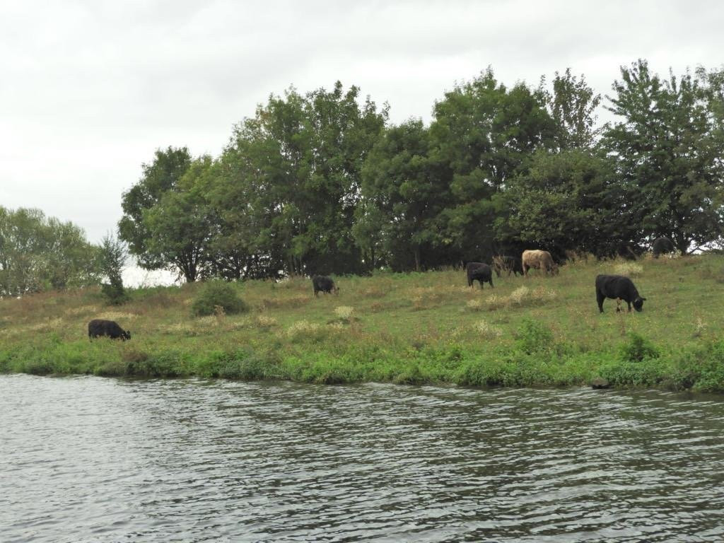 Sloephuren-Limburg-Wessem必去景点