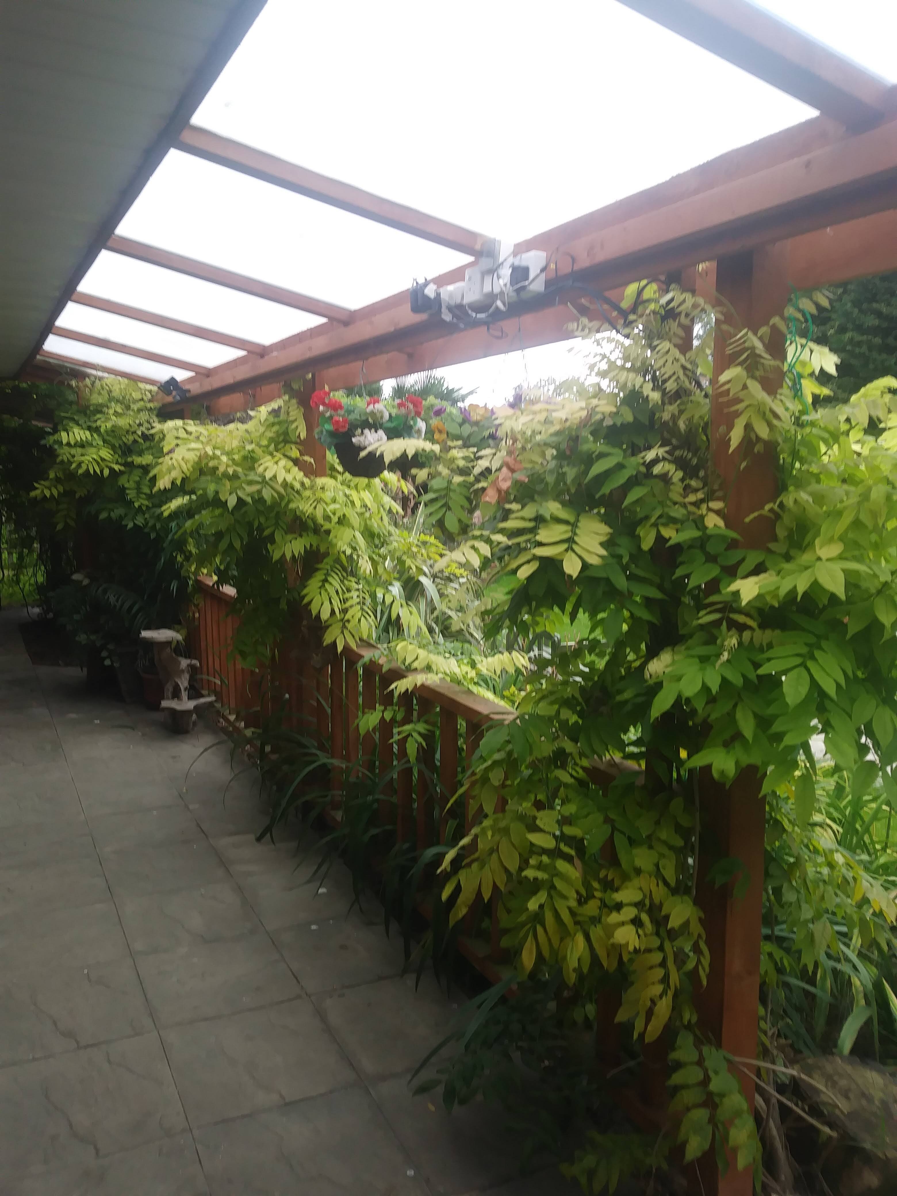 Woodpaddock Bed & Breakfast-酒店景观