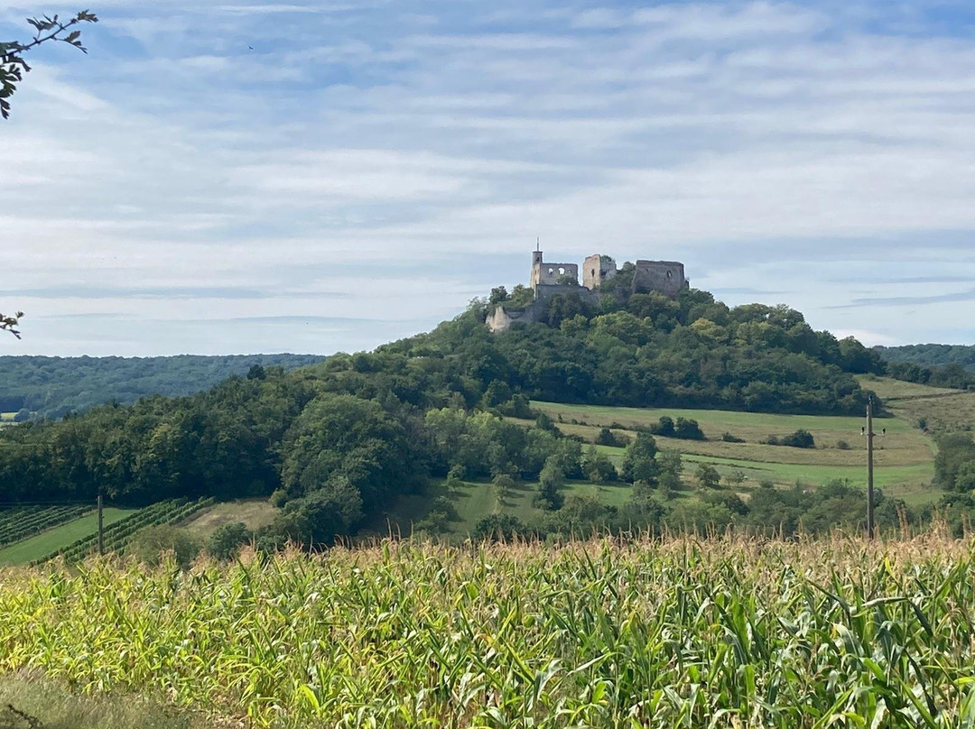 Falkenstein Castle景点图片