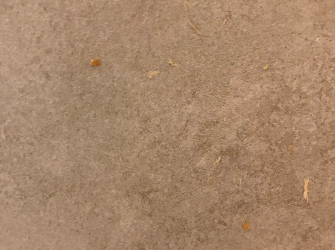 Turquoise Inn & Suites主图