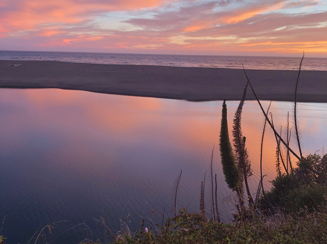 Gualala Bluff Trail景点图片
