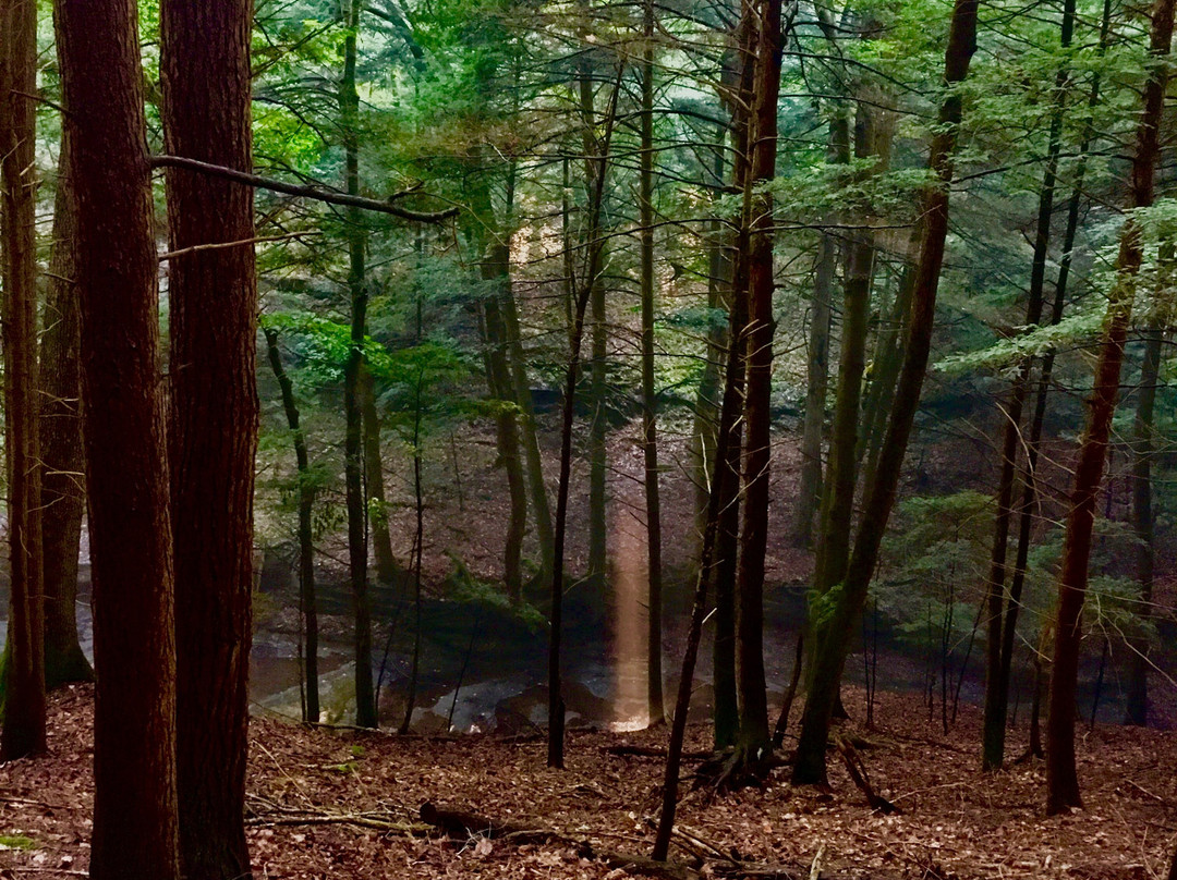 Glenlaurel, A Scottish Inn & Cottages主图