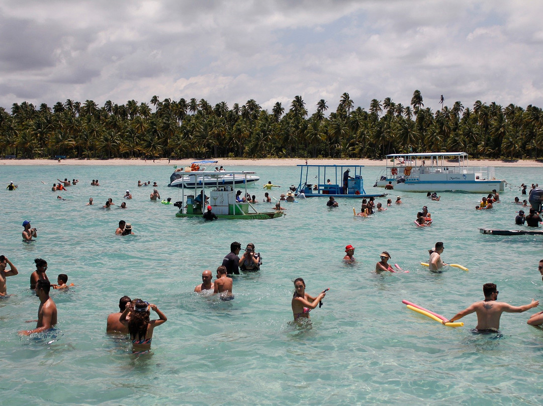 Gray Line Brazil-Maceio必去景点