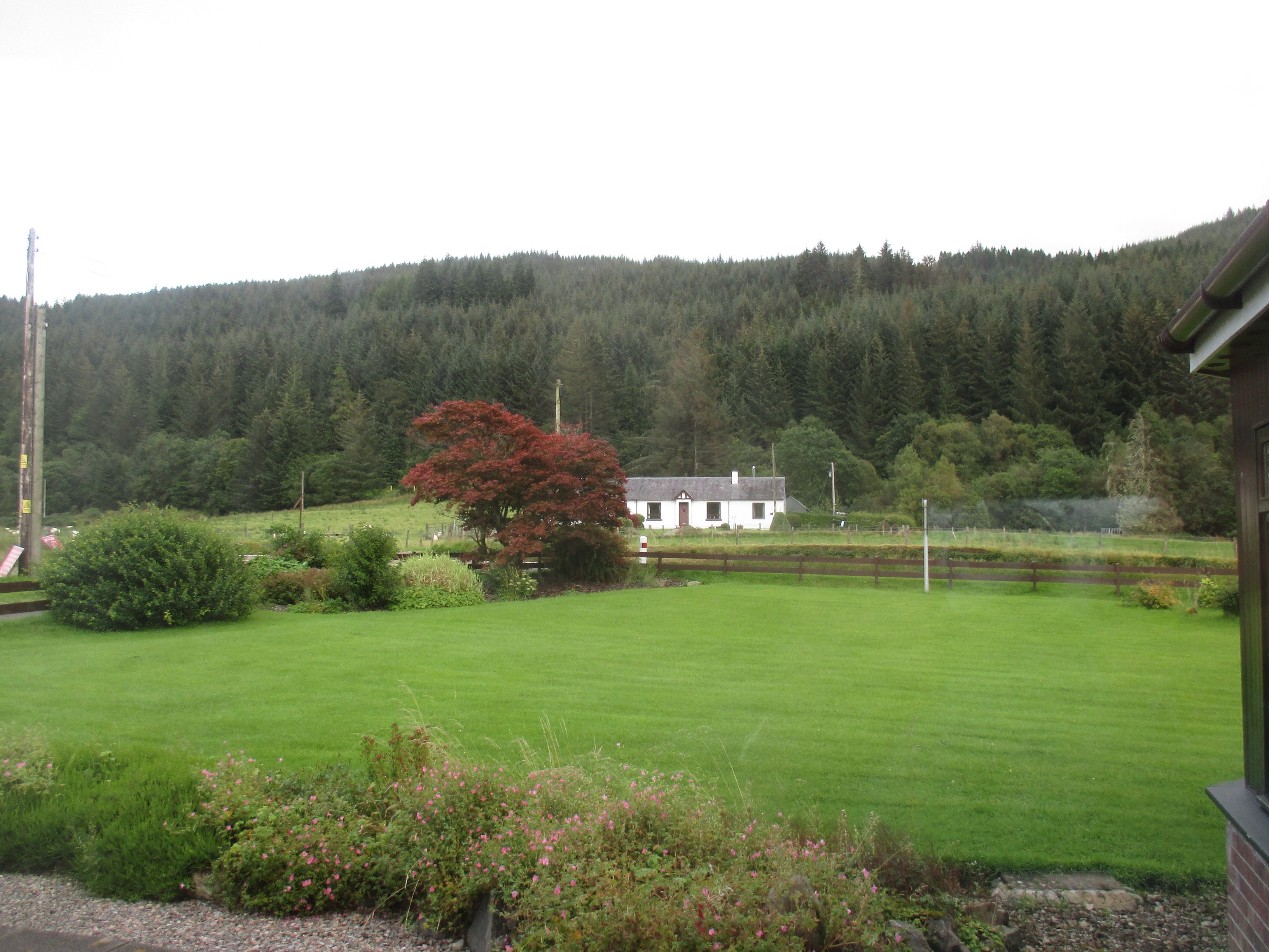 Forest Lodge Guest House-酒店景观
