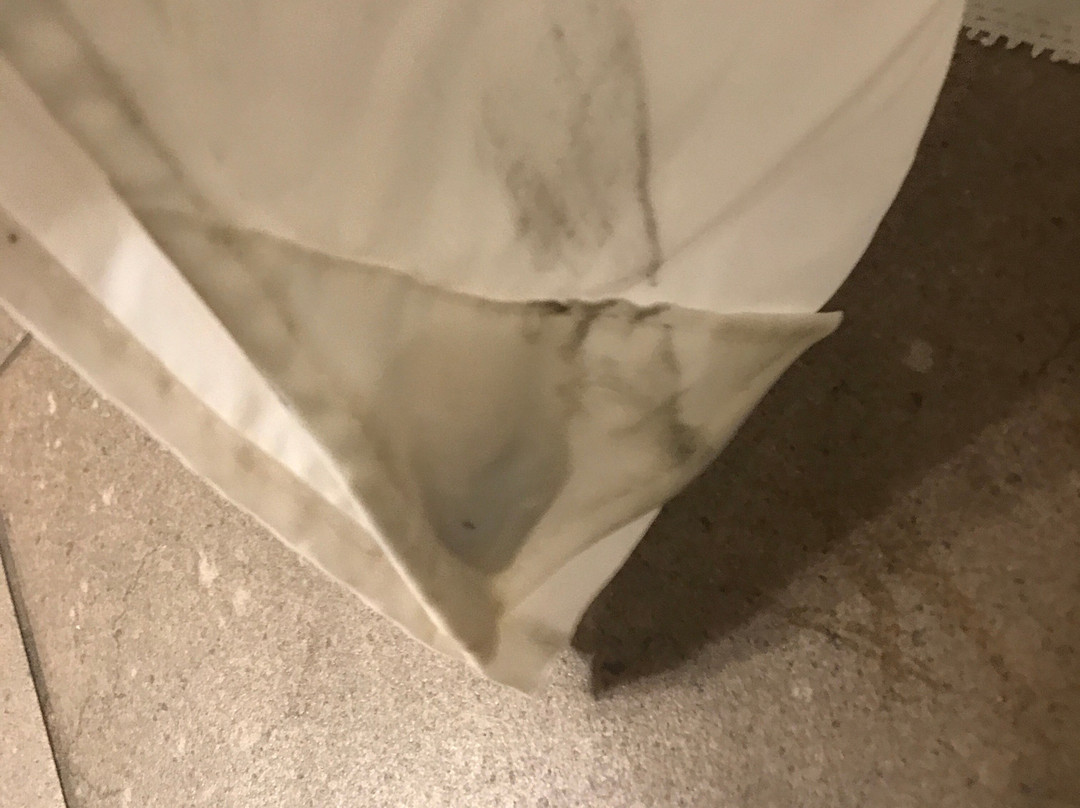 Best Western Fort Wayne Inn & Suites North主图