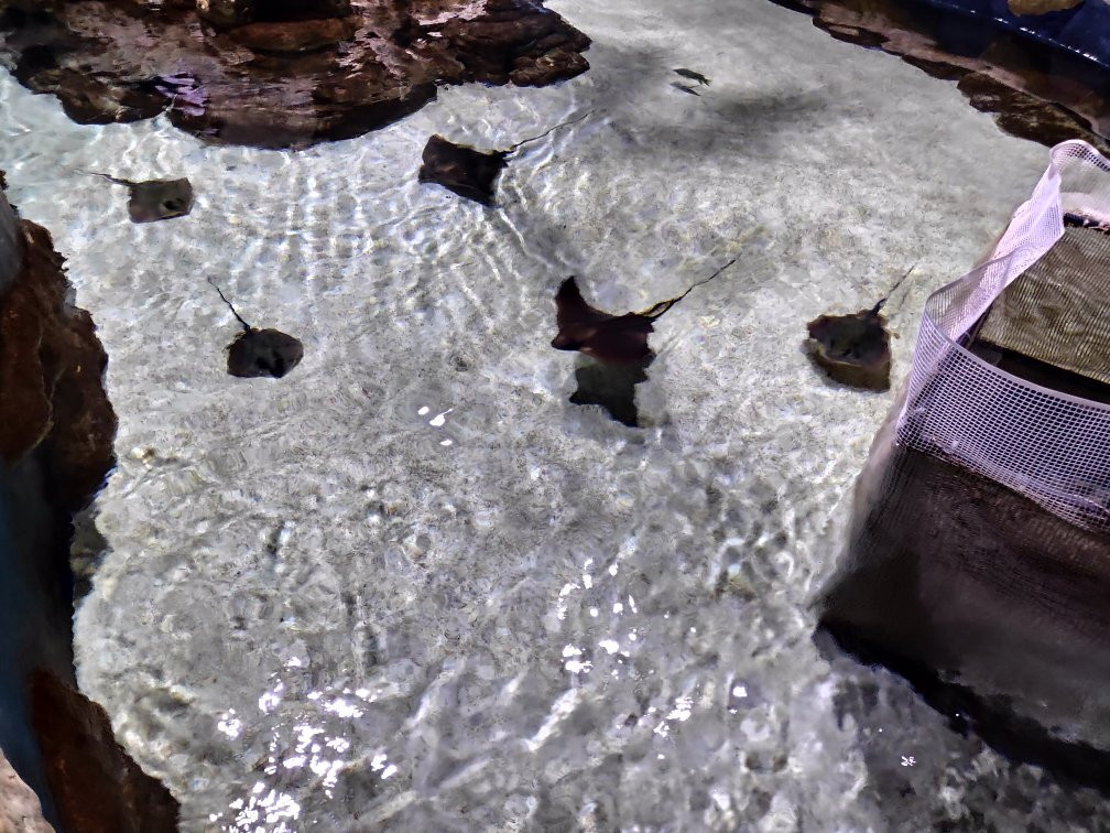 Israel Aquarium-耶路撒冷必去景点