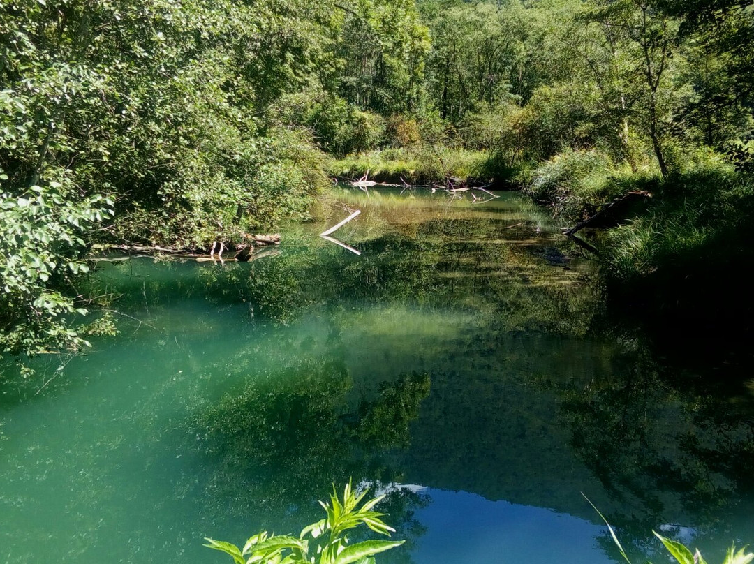 Reserve Naturelle du Bout du Lac景点图片