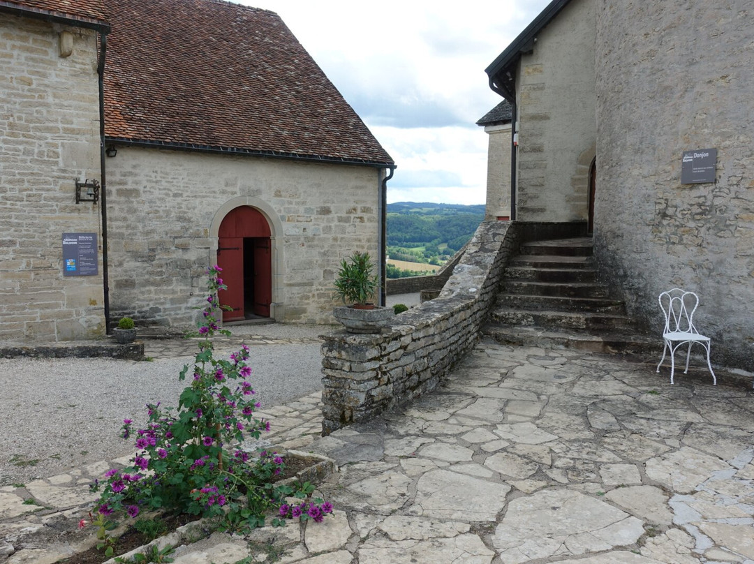 Château de Belvoir景点图片