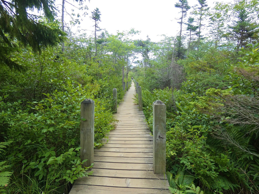 Balancing Rock Trail-Tiverton必去景点