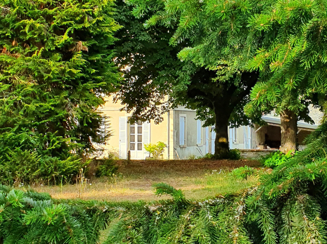 Domaine des Douves主图