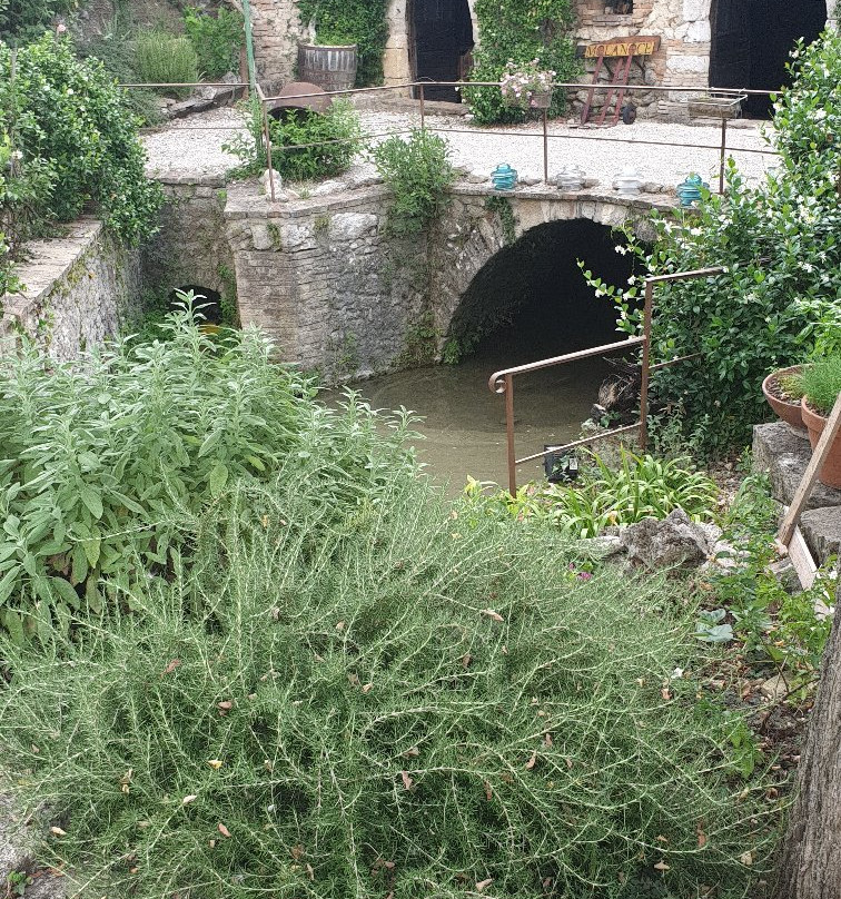 Molino di Molanoce主图