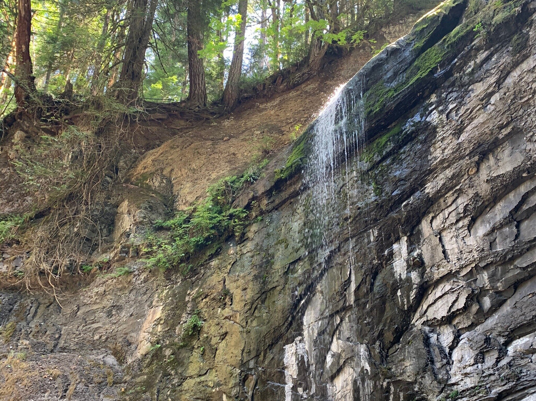 Ammonite Falls-纳奈莫必去景点