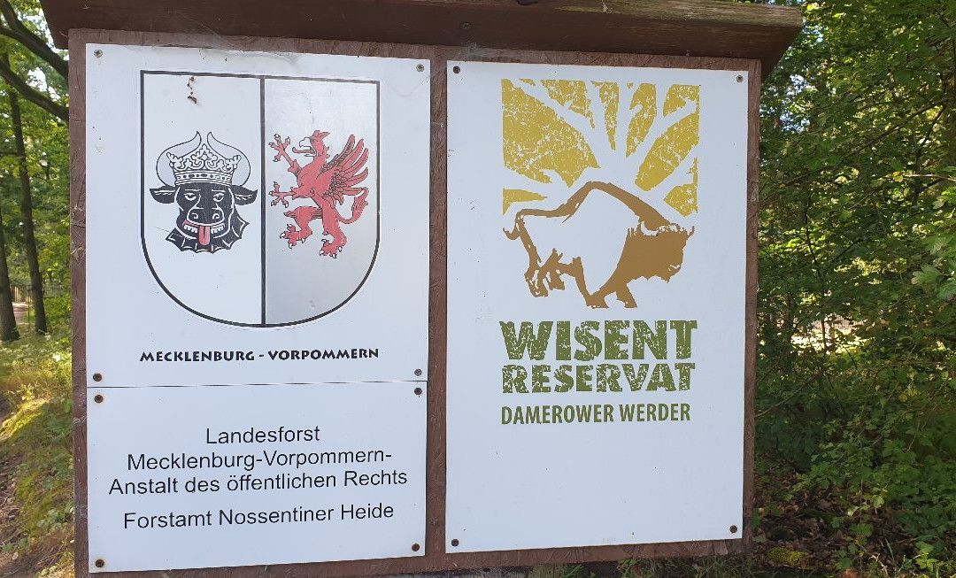 Wisentreservat Damerower Werder景点图片