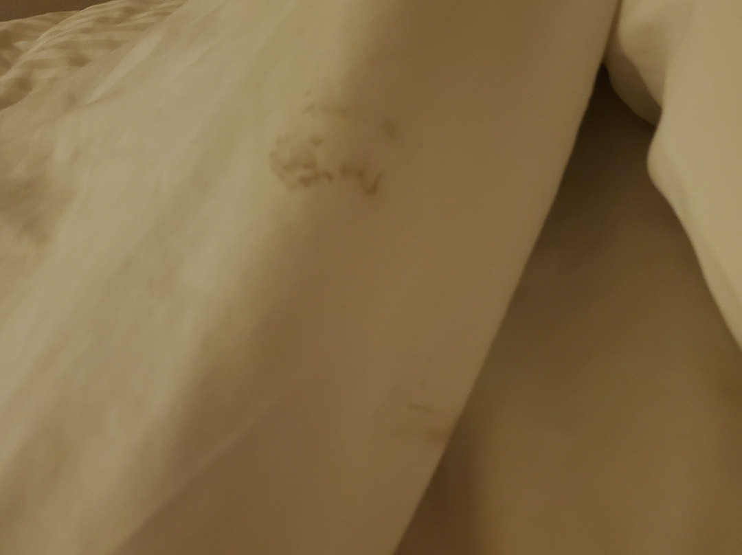 Western Star Inn & Suites主图