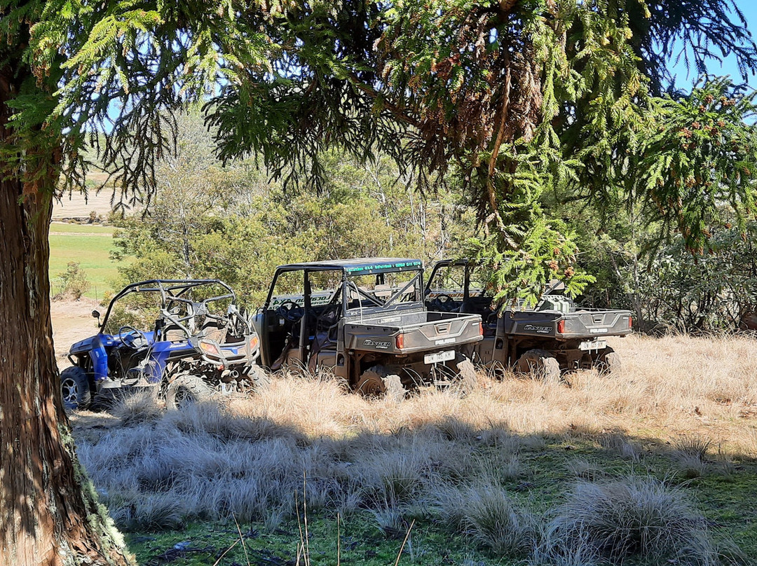 Bugg's Buggy 974景点图片
