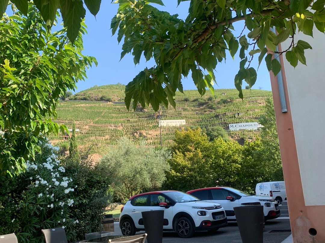 Hotel Le Domaine des Vignes主图