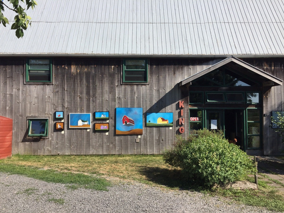 Mad Dog Gallery-皮克顿必去景点