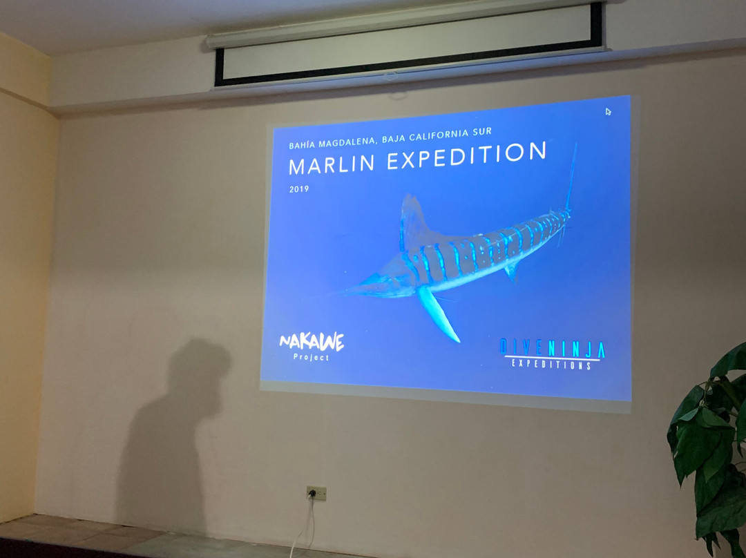 Nakawe Experiences-拉巴斯必去景点