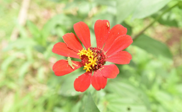 Avifauna Tours-西班牙港必去景点