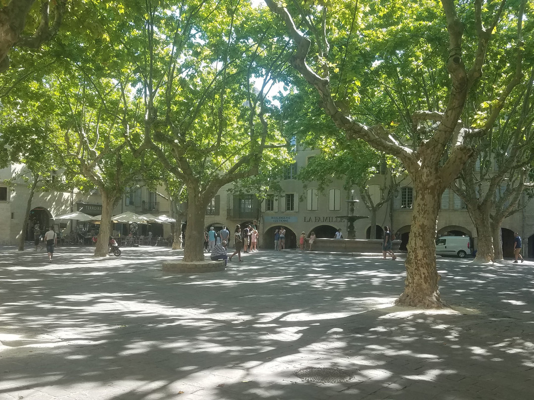 Place aux herbes-泽斯必去景点