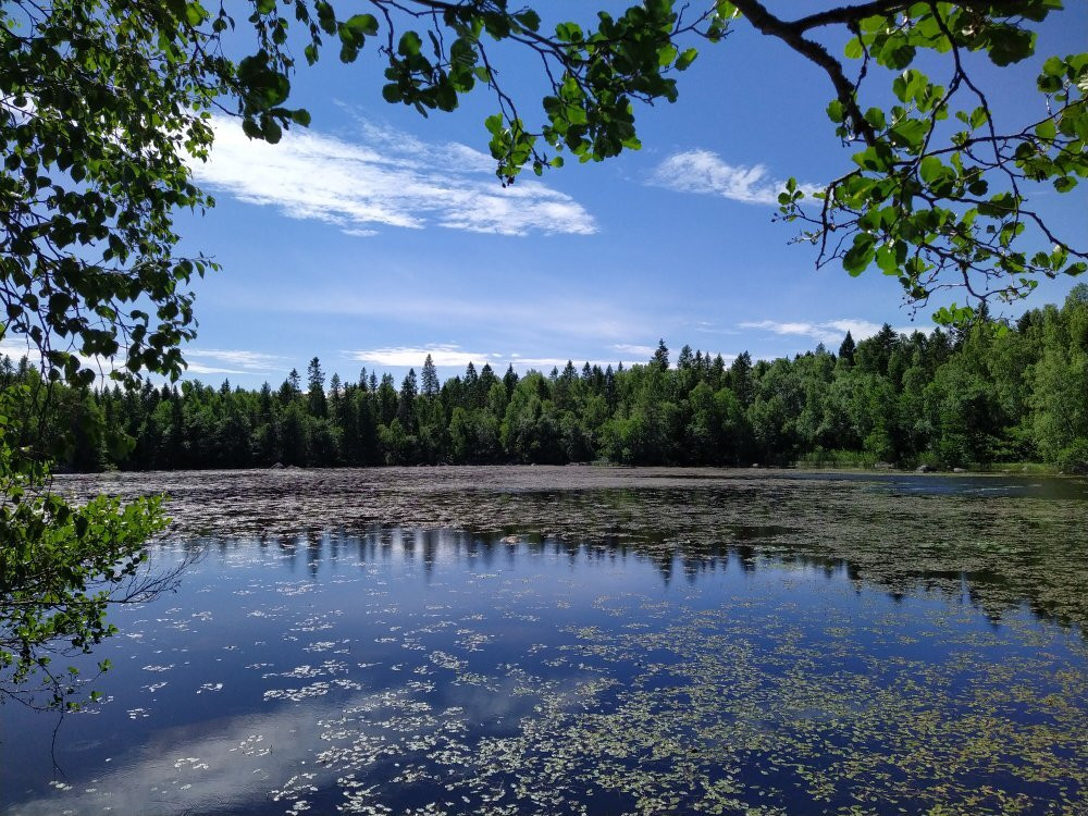 Vasteron Luontopolku-Skatan必去景点
