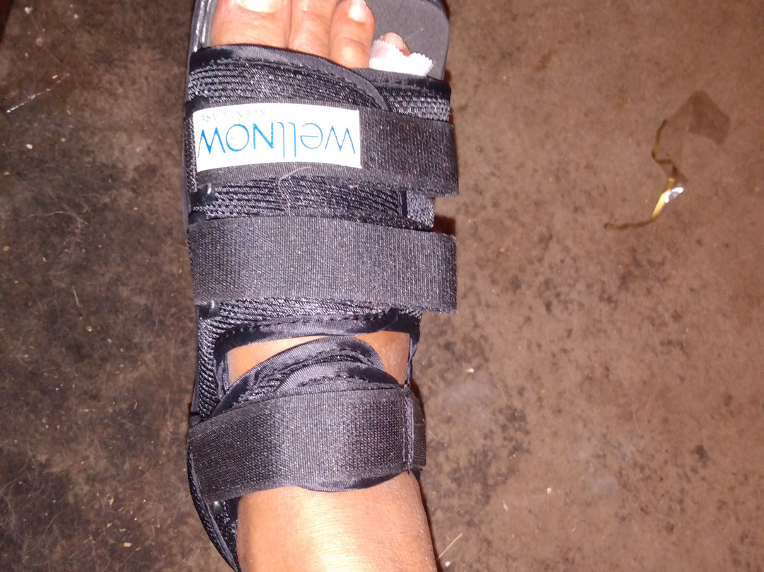 Rt 80 Quarry Ridge Stables-Nedrow必去景点