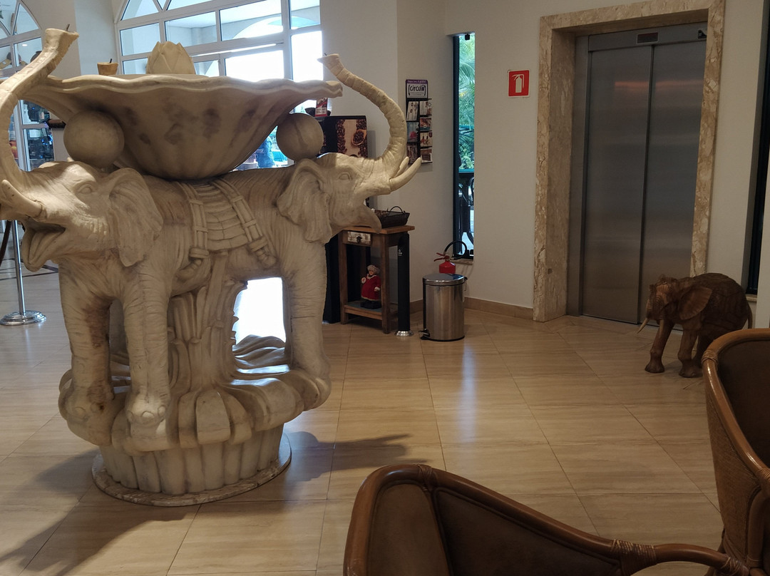 Hotel Beira Rio Palace主图