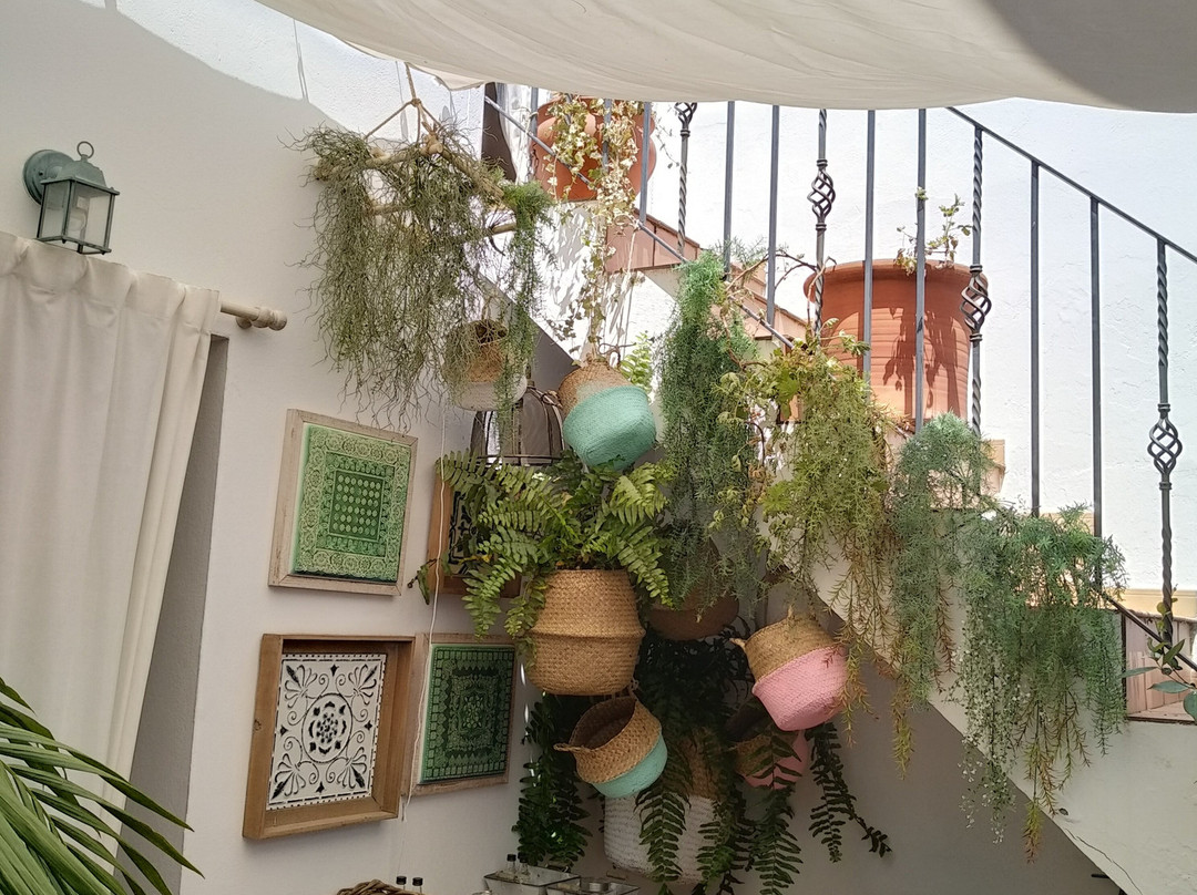 Casa Ruy Lopez主图