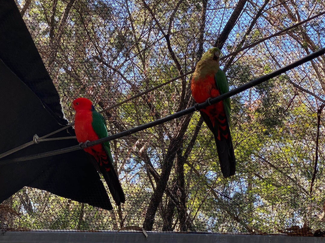 Tamworth Marsupial Park景点图片