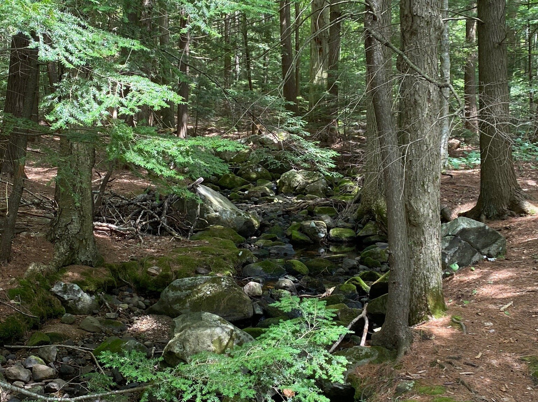 John Hay National Wildlife Refuge景点图片