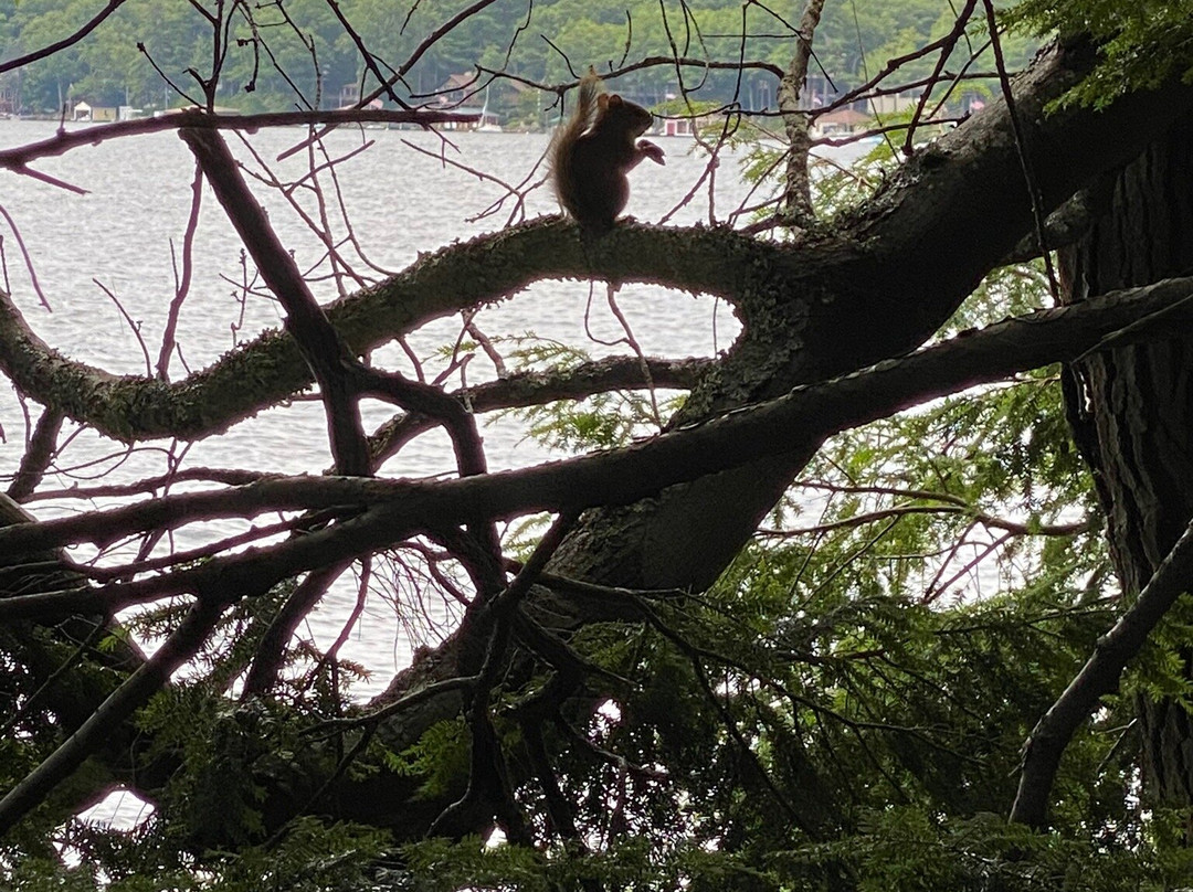 John Hay National Wildlife Refuge景点图片