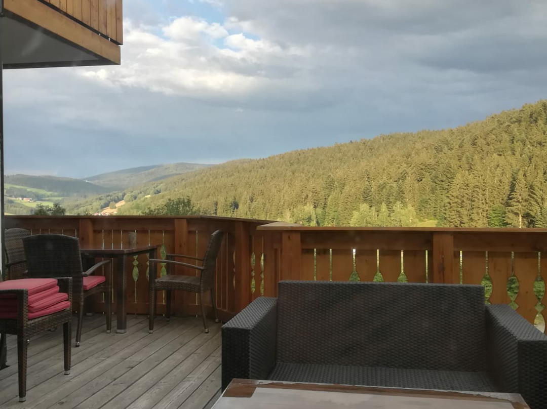 Hotel Waldschloessl主图