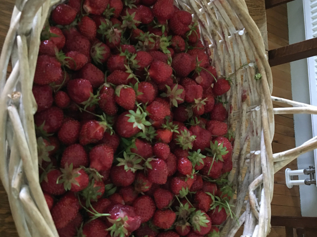 The Farmstand B & B主图