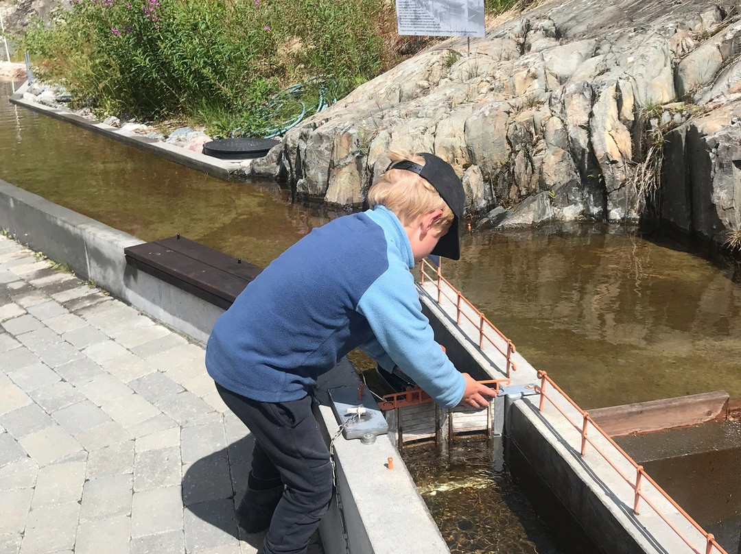 Vest-telemark Museum Eidsborg-Hoydalsmo必去景点