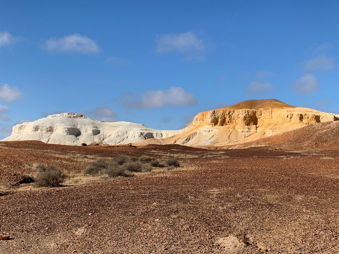Kanku - Breakaways Conservation Park-库伯佩迪必去景点