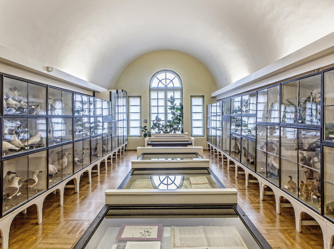 Historisches Museum & Bachgedenkstatte-Koethen (Anhalt)必去景点