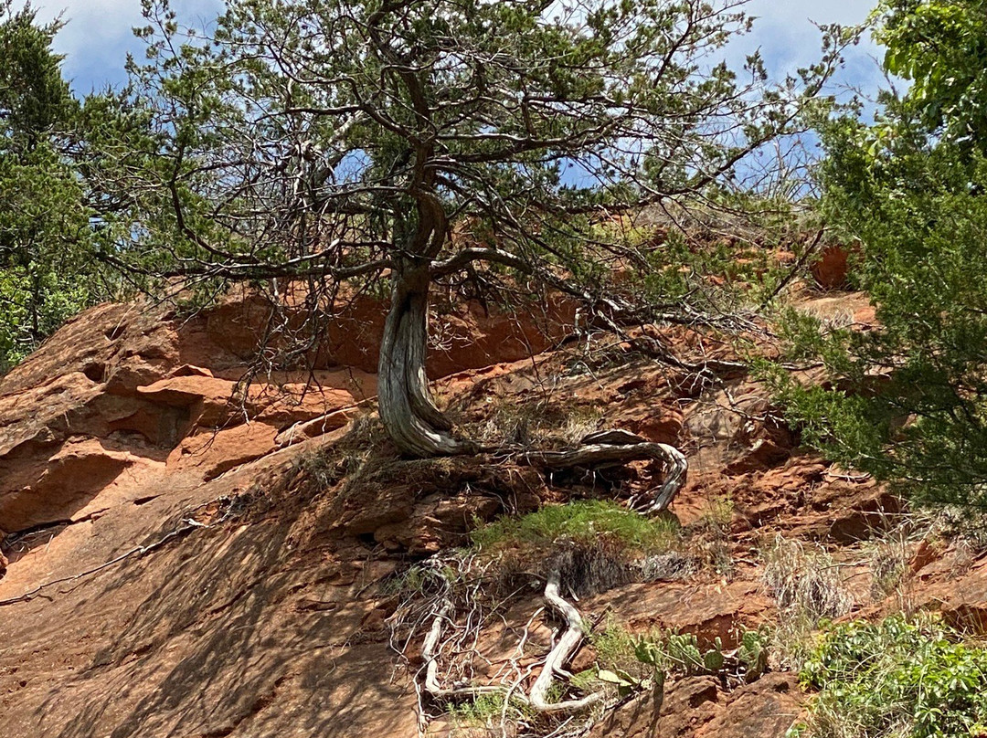 Red Rock Canyon Adventure Park景点图片