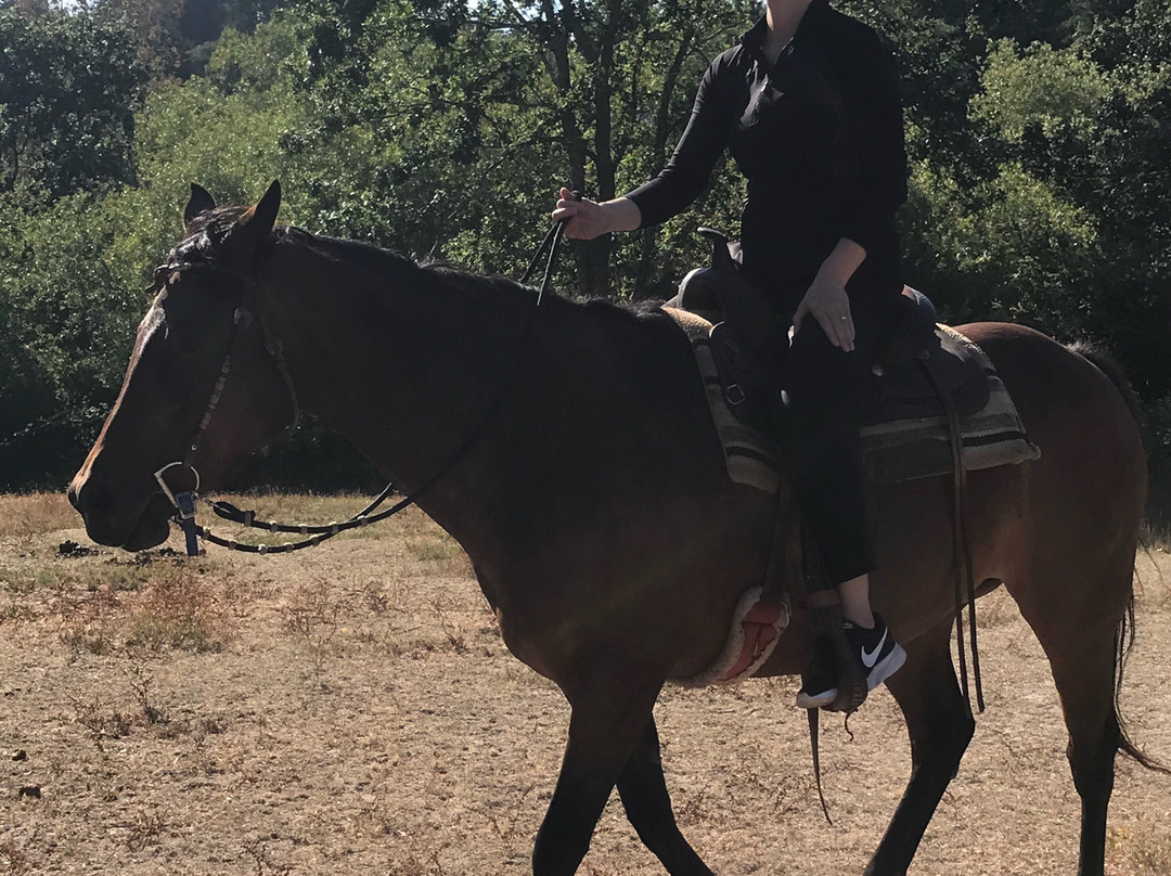 Rollin F Ranch-Sebastopol必去景点