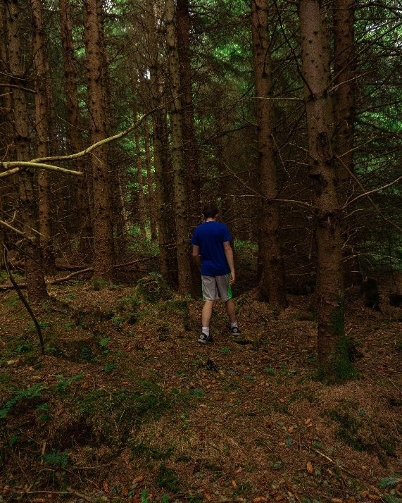Blanemore Forest Walk-Moygownagh必去景点