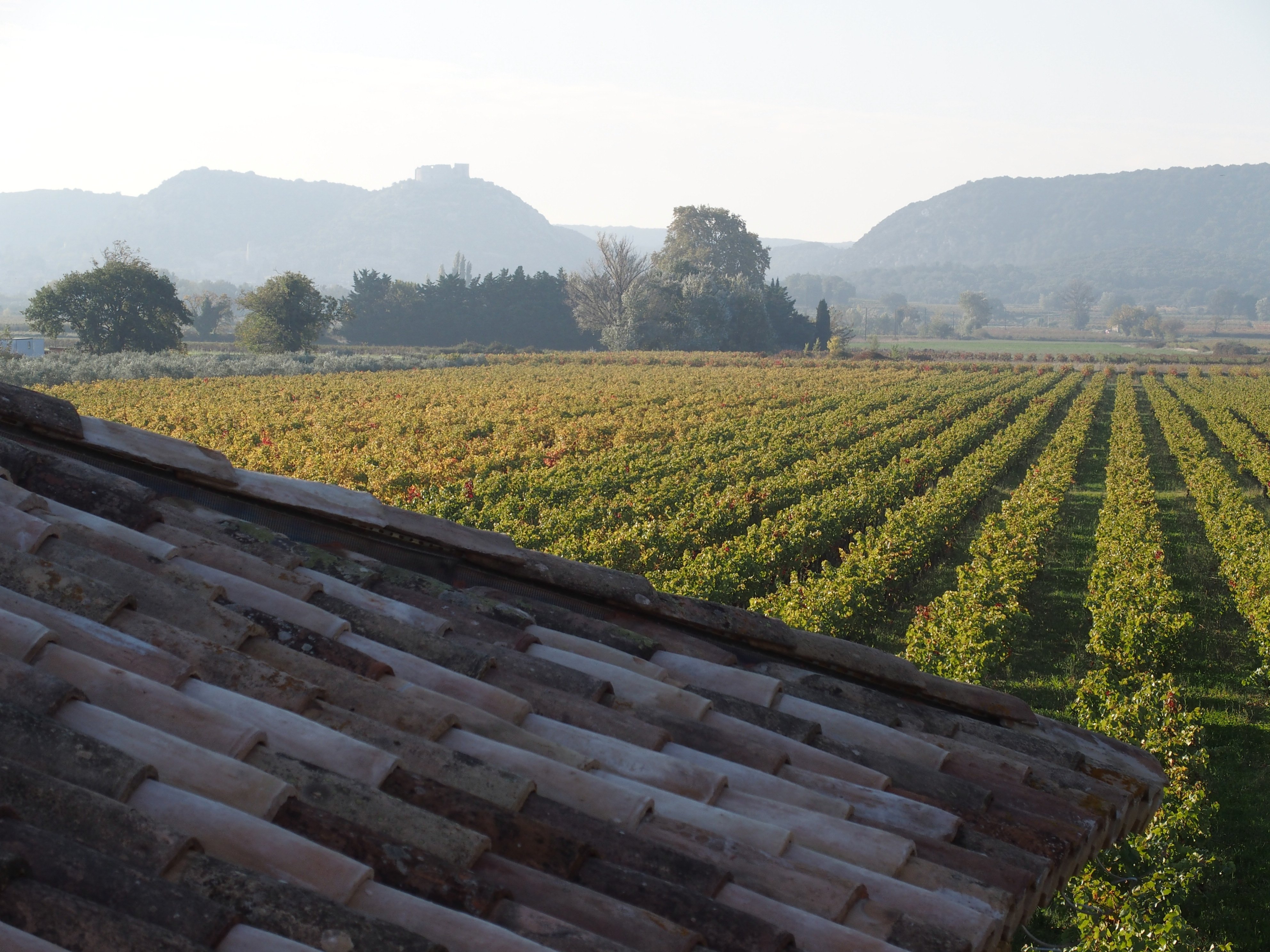 Domaine de Sevanes-官方