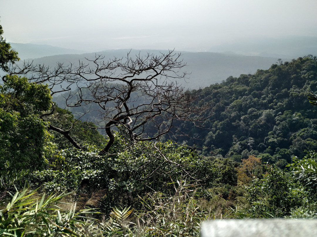 Ibankordor Jungle Resort主图