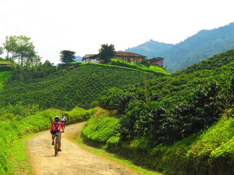 Bike Rock Tours-佩雷拉必去景点